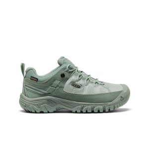 Women's Targhee EXP Waterproof Hiking Shoe Lily Pad/Lily Pad
