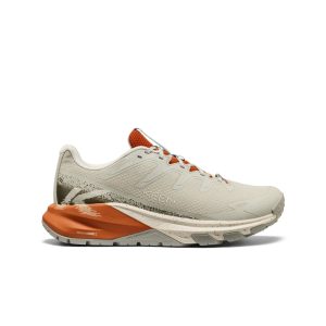 Men's Targhee Apex Waterproof Hiking Shoe Abbey Stone/Gold Flame