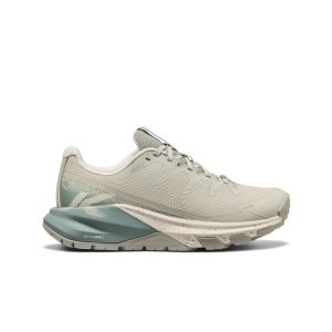 Women's Targhee Apex Waterproof Hiking Shoe Abbey Stone/Birch