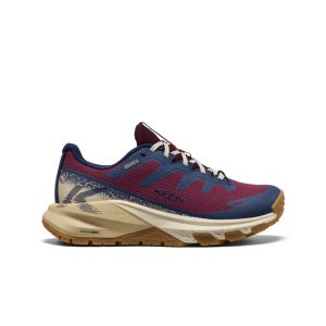 Women's Targhee Apex Waterproof Hiking Shoe Fig/Naval Academy