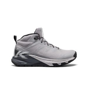 Men's Targhee Apex Waterproof Hiking Boot Alloy/Black