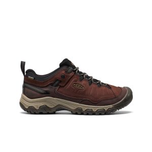 Men's Targhee IV Waterproof Hiking Shoe Java/Bison