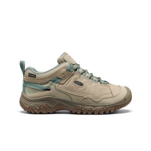 Women's Targhee IV Waterproof Hiking Shoe Abbey Stone/Lily Pad