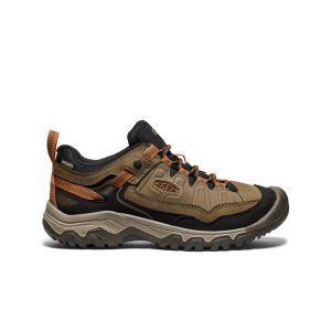 Men's Targhee IV Waterproof Hiking Shoe Sea Turtle/Roasted Pecan