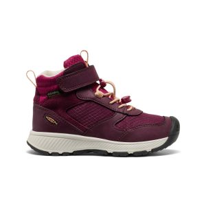 Little Kids' Skua Waterproof Boot Fig/Peach Fuzz